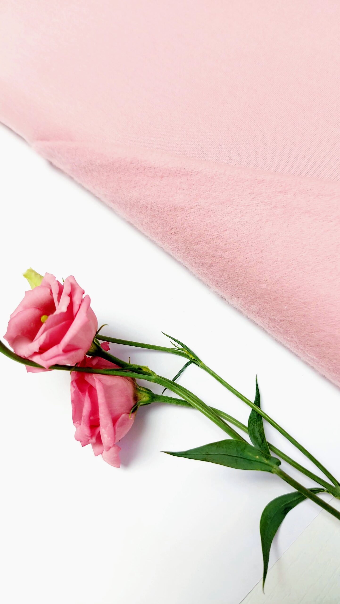French Terry Afelpado Liso Rosa French Terry/ Sudadera