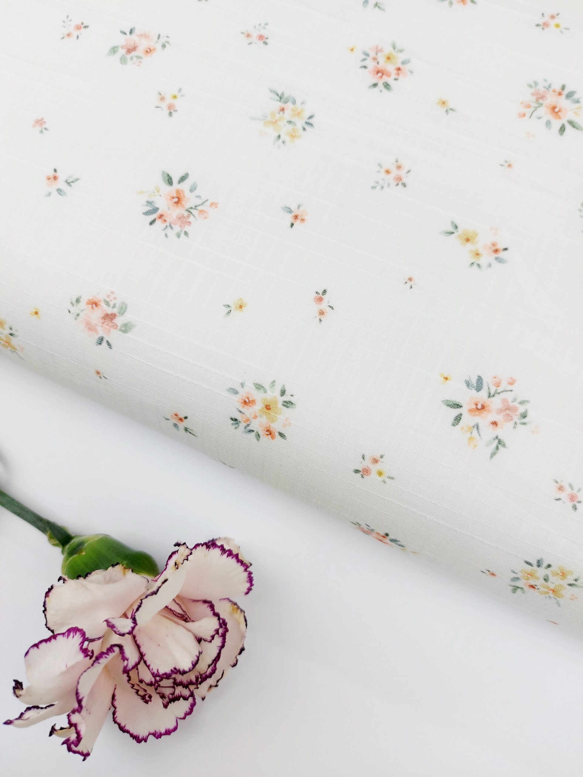 Batista Flamé Flores Dulzura Atemporal Batista Batista Flamé Flores Dulzura Atemporal