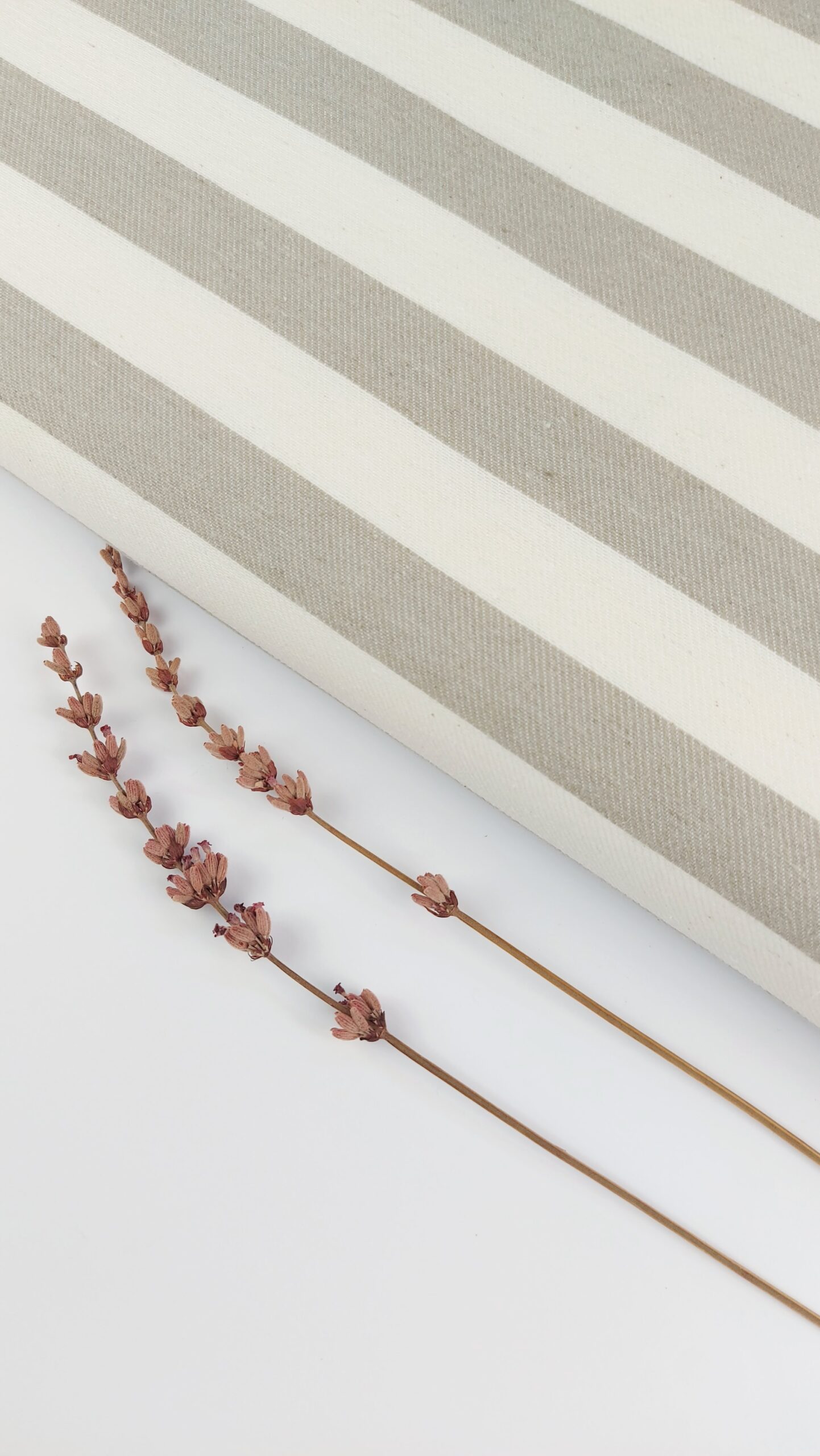 🤍 Jacquard Rayas Candy Natural Chic – Lino Topo & Blanco Marfil 🌾✨ JACQUARD RAYAS 🤍 Jacquard Rayas Candy Natural Chic – Lino Topo & Blanco Marfil 🌾✨